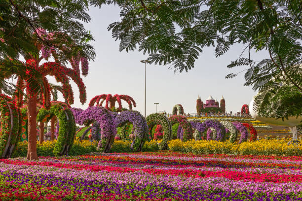 Unveil the Enchanting Beauty of Dubai Miracle Garden