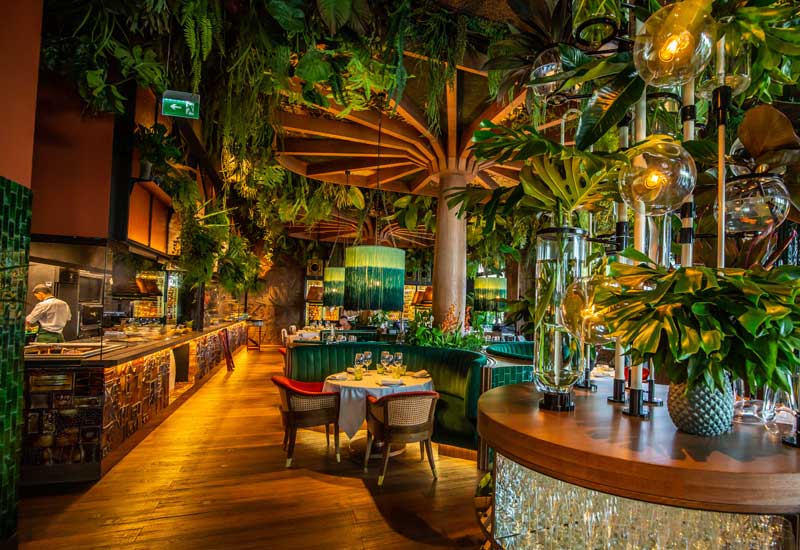Amazonico: An Epitome of Culinary Luxury in Dubai