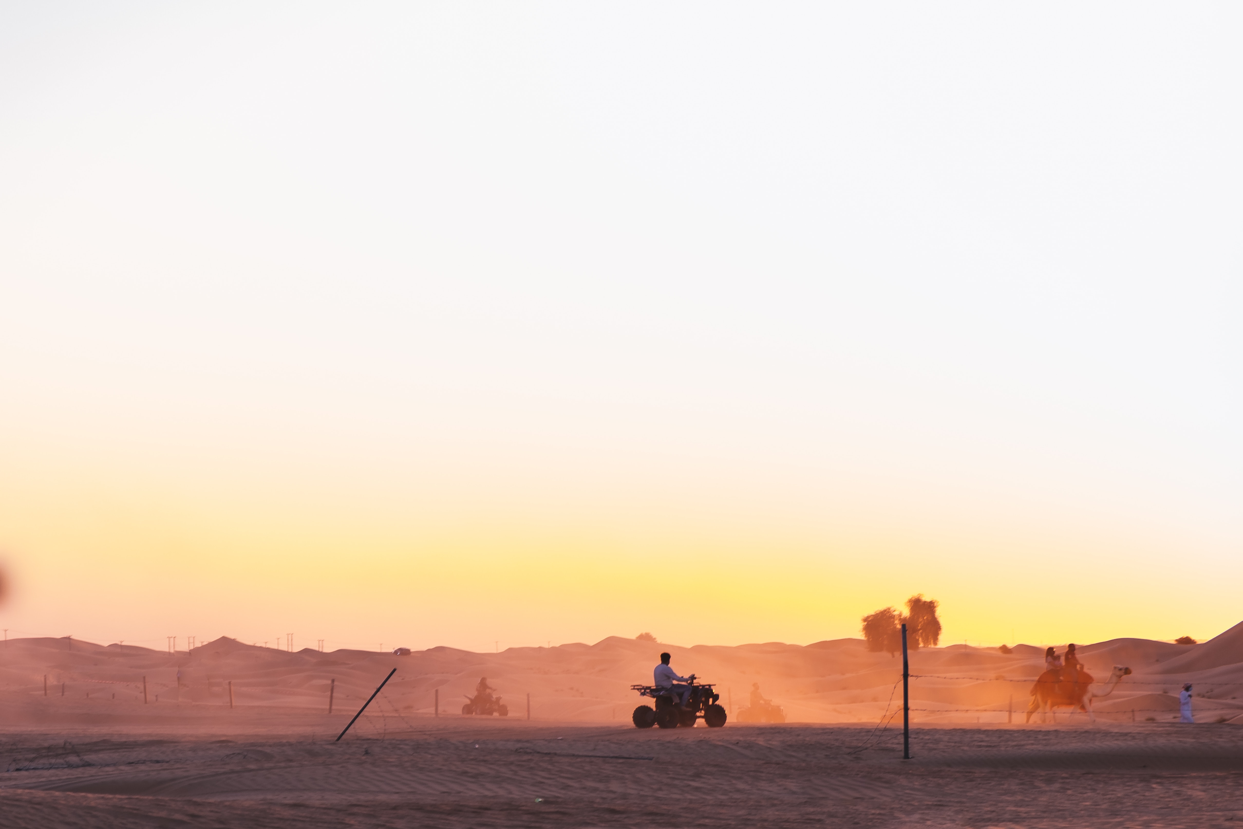 Desert Safari Tour with 4x4 Vehicles