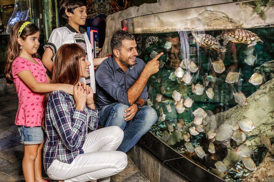 Dubai Aquarium: A Majestic Underwater Journey!