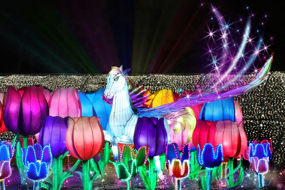 Dubai Garden Glow: A Luminous Wonderland!