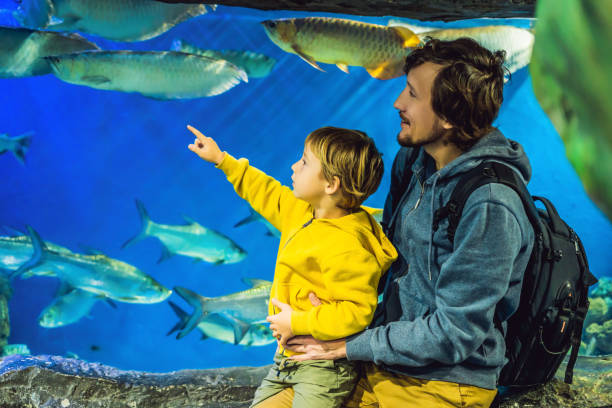 Whimsical Waters: A Mesmerizing Aquarium Tour
