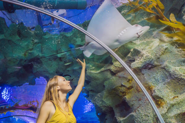 Whimsical Waters: A Mesmerizing Aquarium Tour